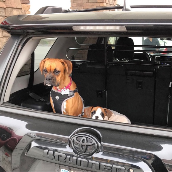 Meet your Posher, Katie - Picture 1 of 1